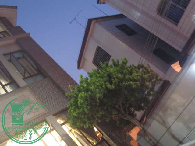 IMG_4335.JPG