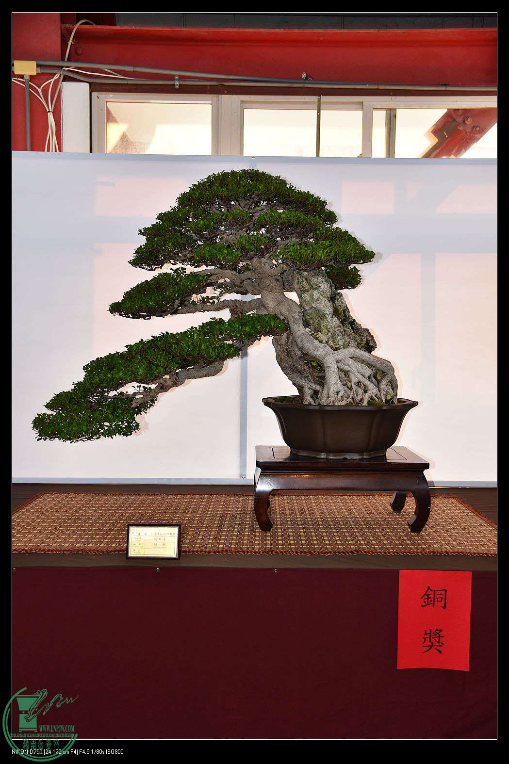 nEO_IMG_DSC_1789.jpg