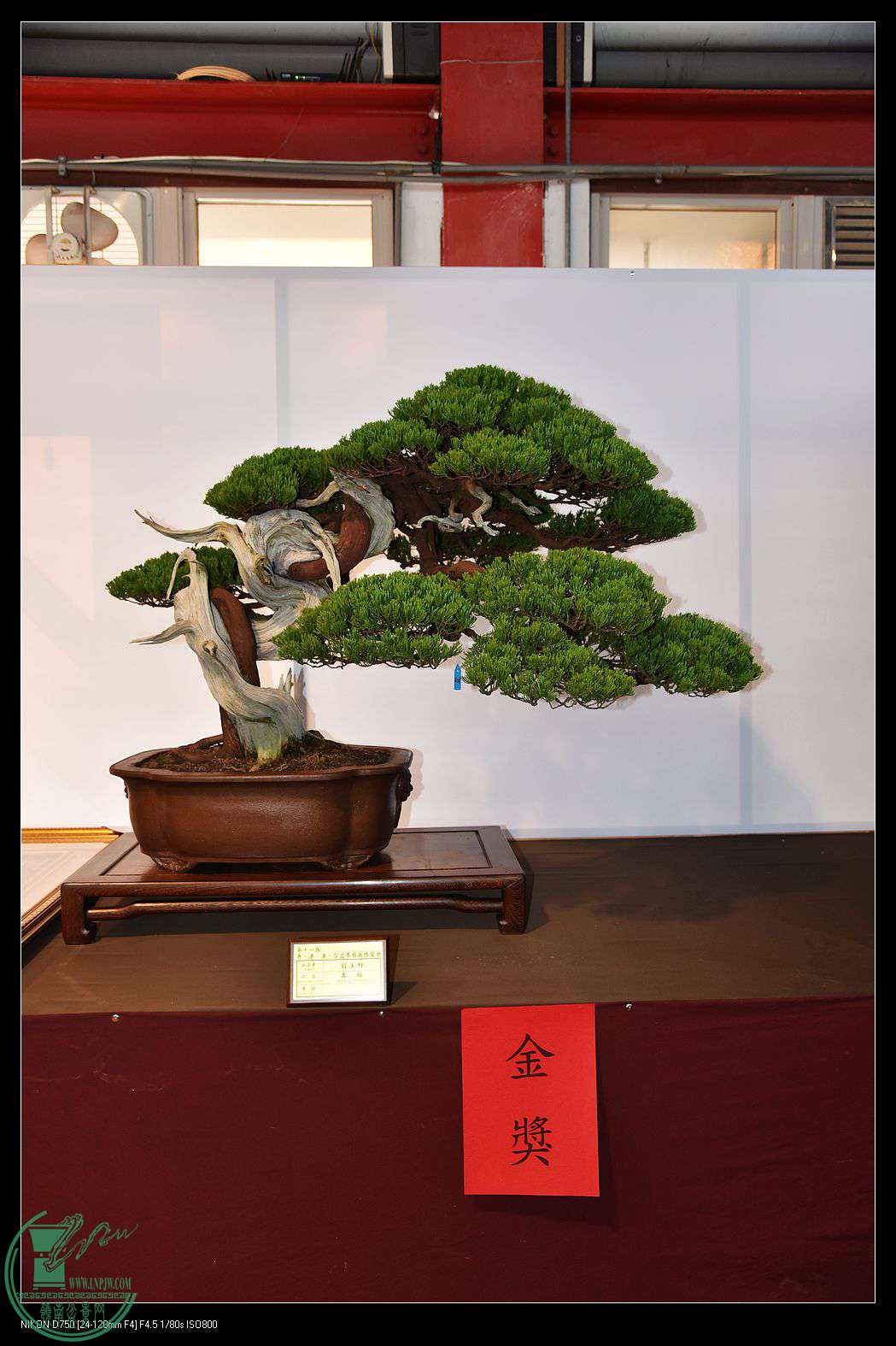 nEO_IMG_DSC_1792.jpg