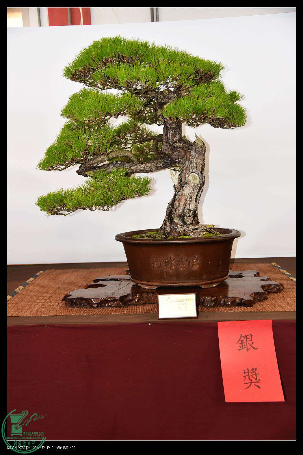 nEO_IMG_DSC_1795.jpg