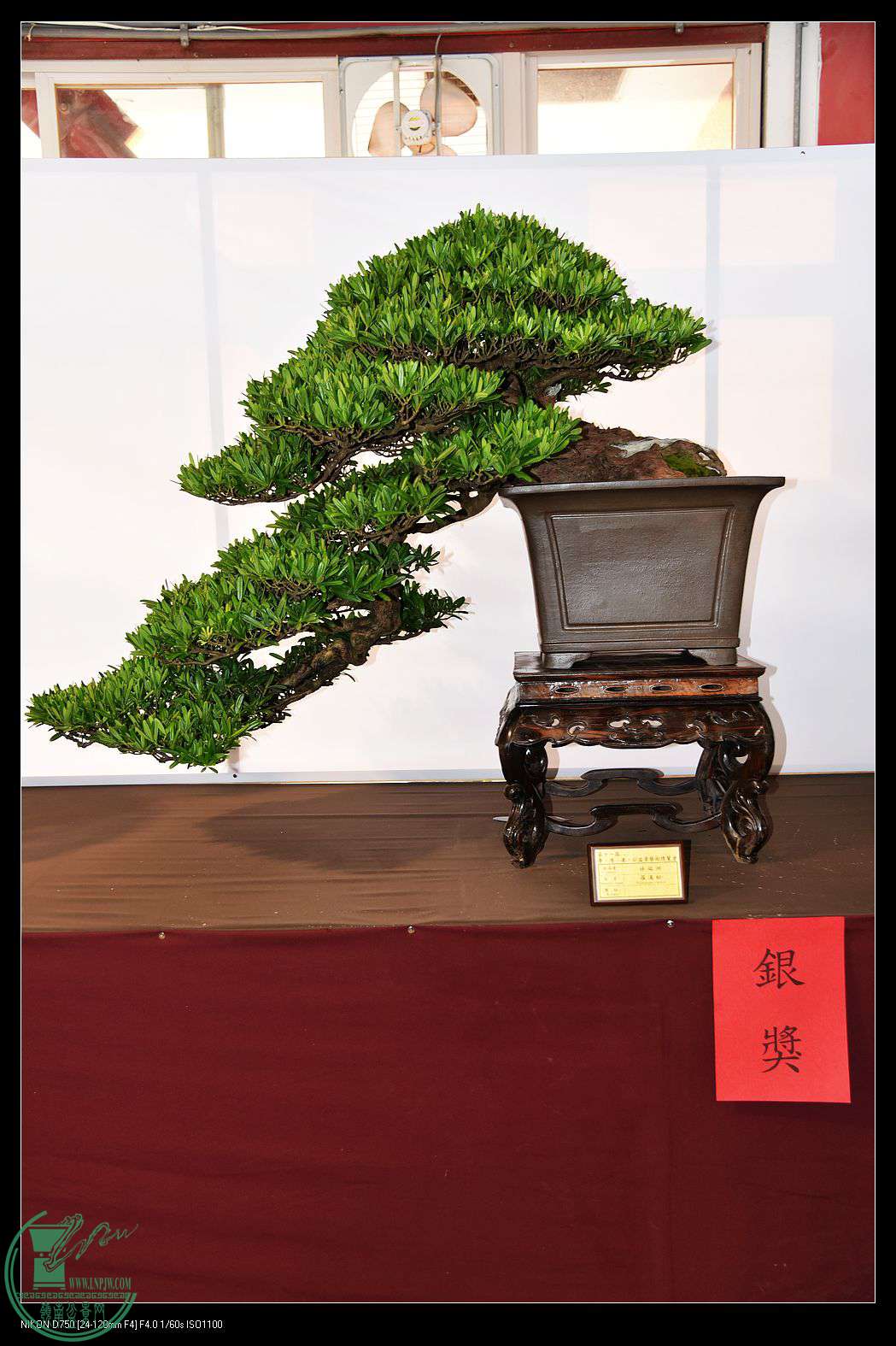 nEO_IMG_DSC_1796.jpg