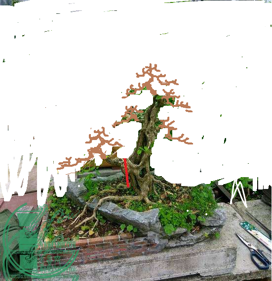 ޱ.png