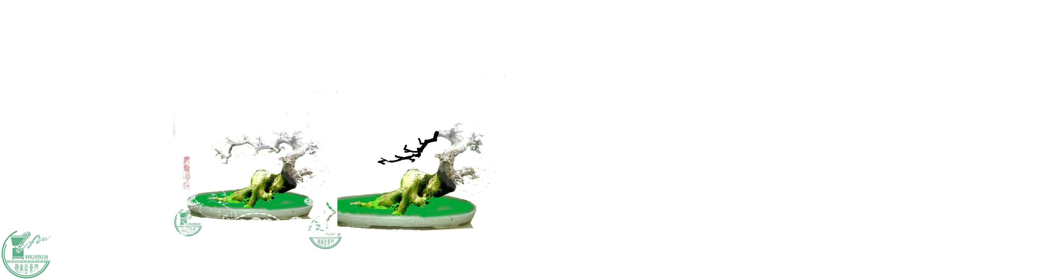 222.jpg