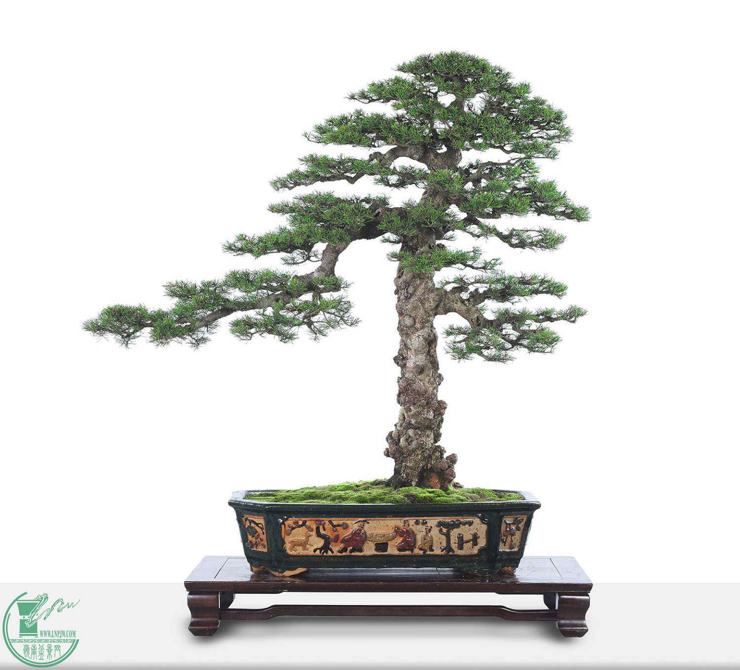 _IUMZHYP3O9PGUO~54`NA[0.jpg