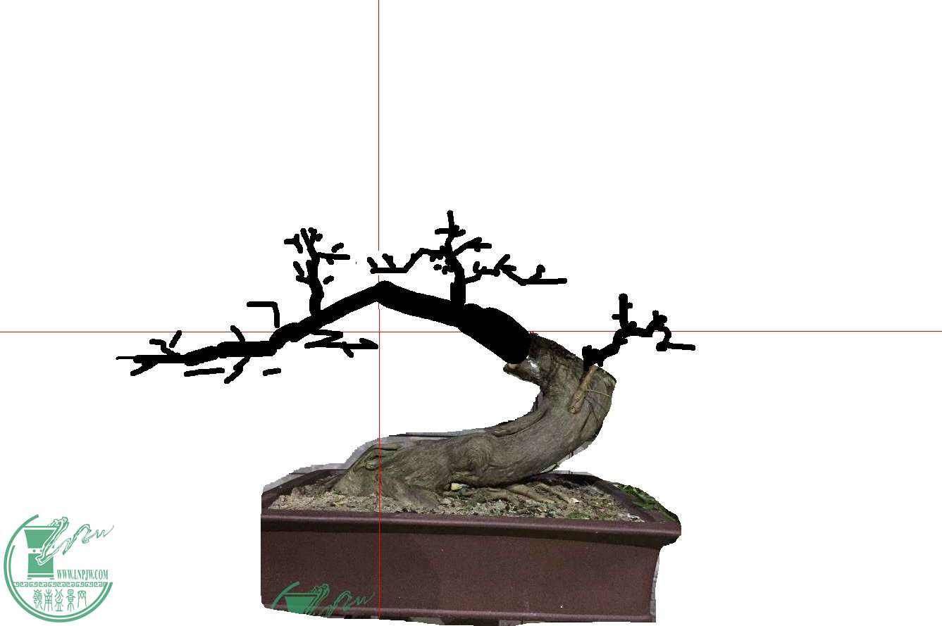 1112.jpg