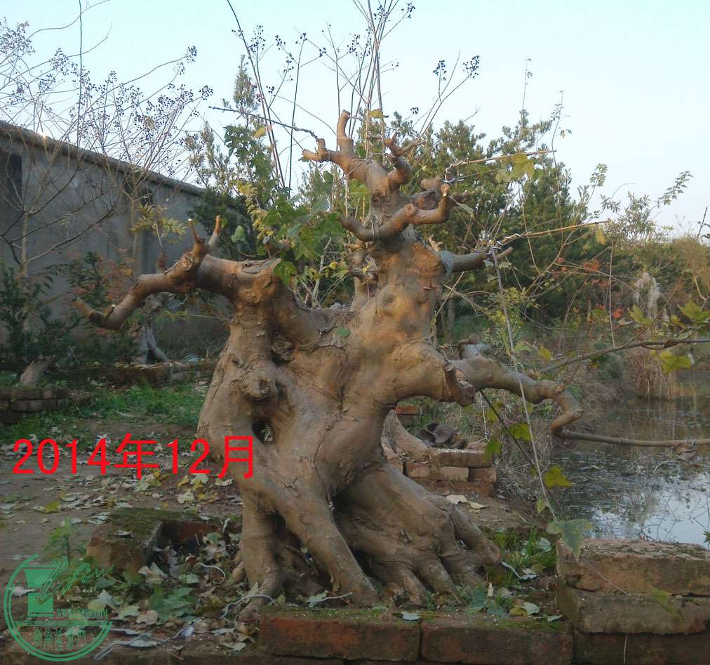 201412.jpg
