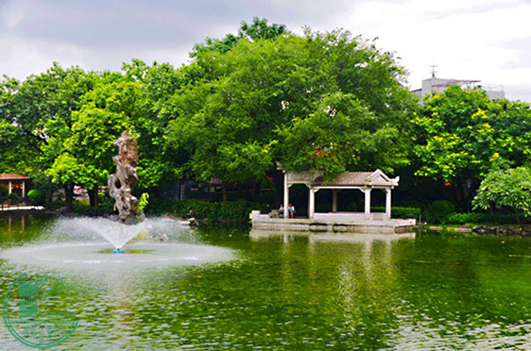 DSC_016.jpg