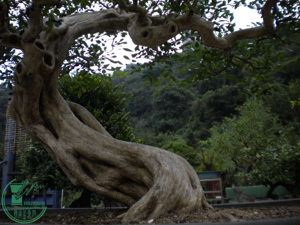 DSCN8844.JPG