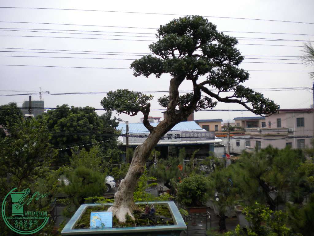 DSCN8827.JPG