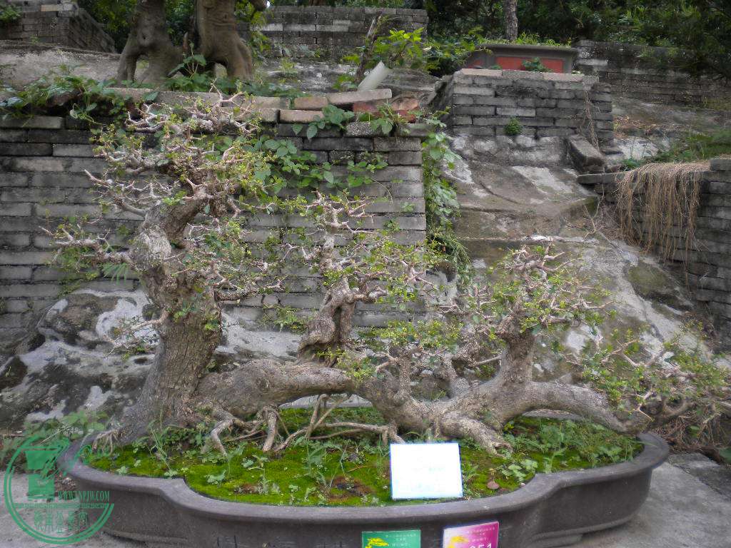 DSCN8837.JPG