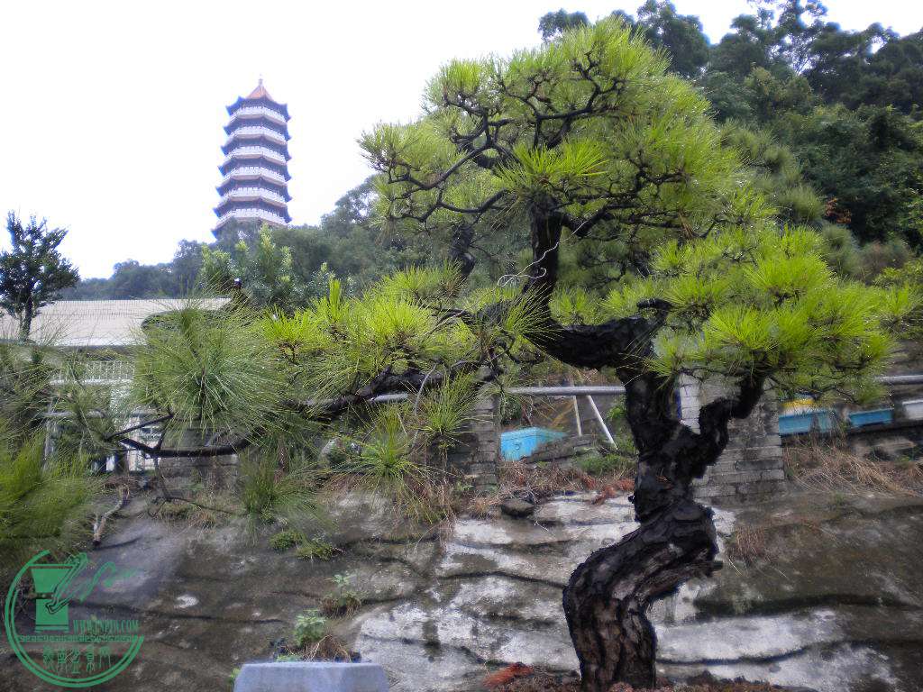 DSCN8834.JPG