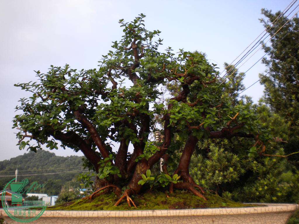 DSCN8860.JPG