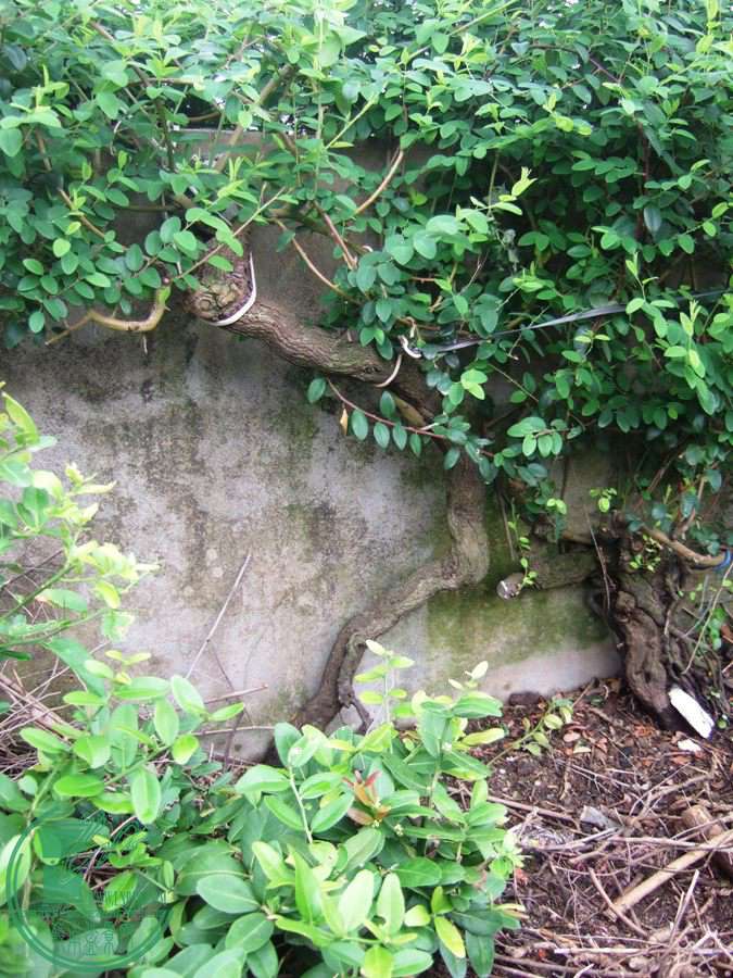  DSCF7734.JPG