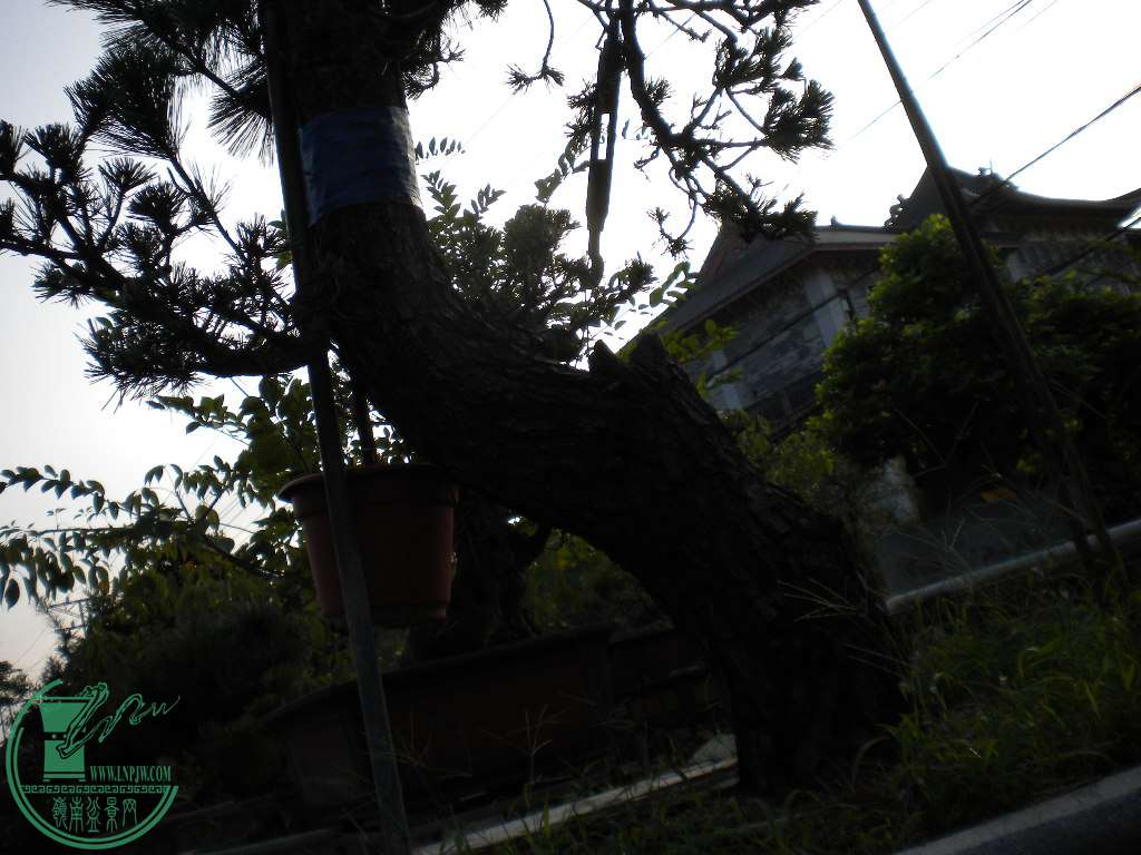 DSCN8865.JPG