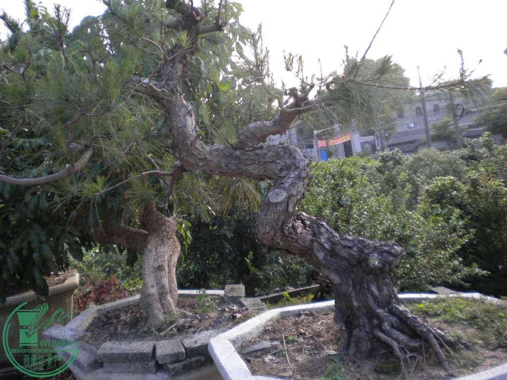 DSCN8863.JPG