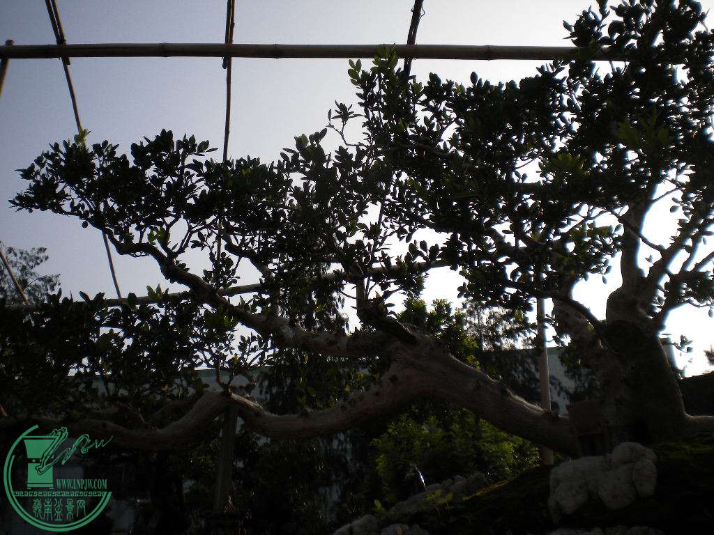 DSCN8859.JPG
