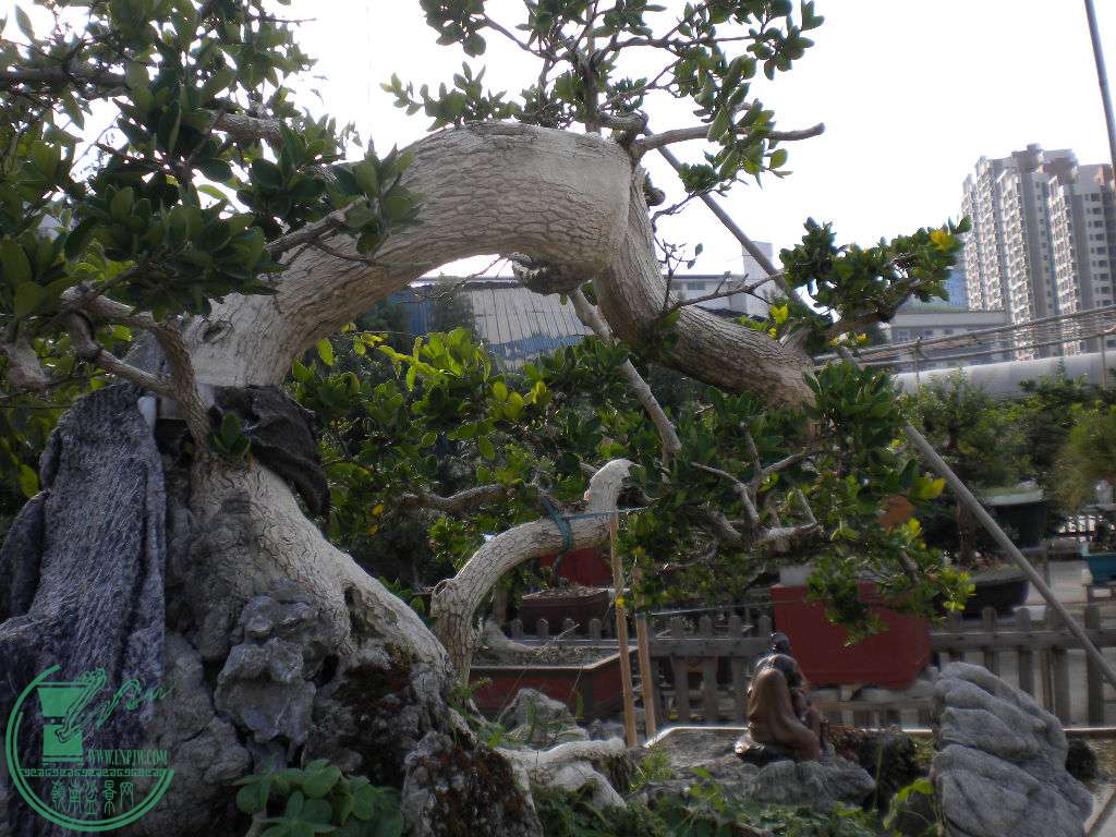 DSCN8856.JPG