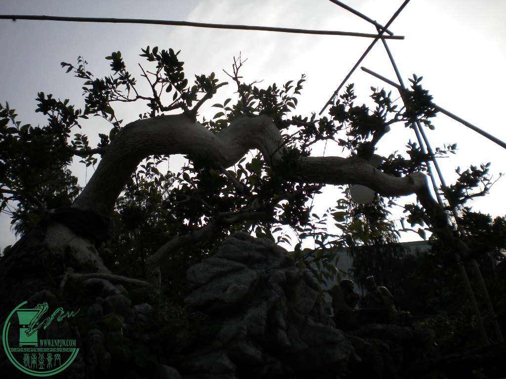 DSCN8855.JPG