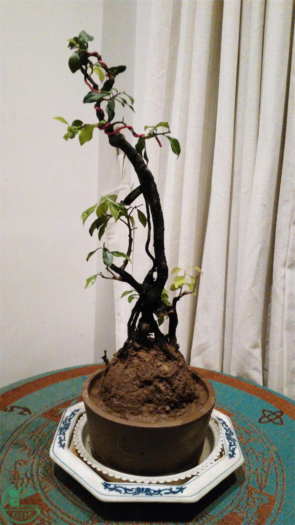 20161102.jpg