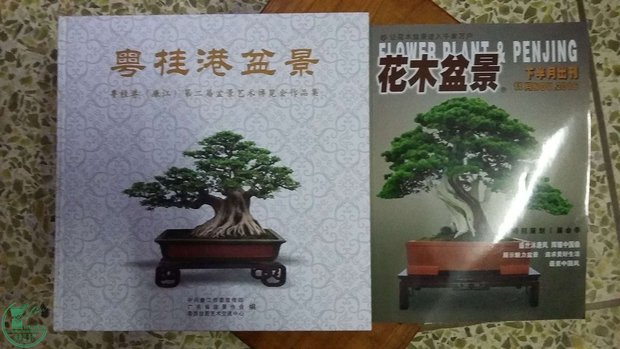 20161212_202843.jpg
