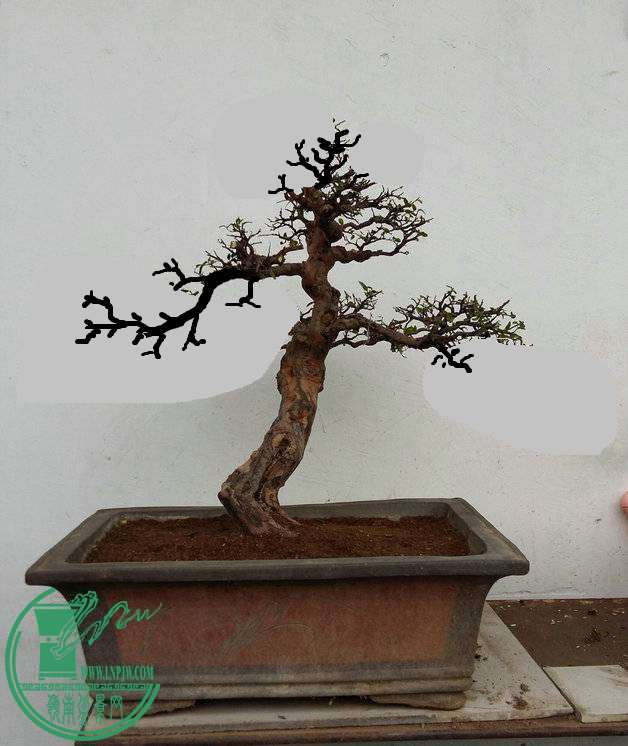 204957ctjt2kr99kr8ouut_jpg_thumb.jpg