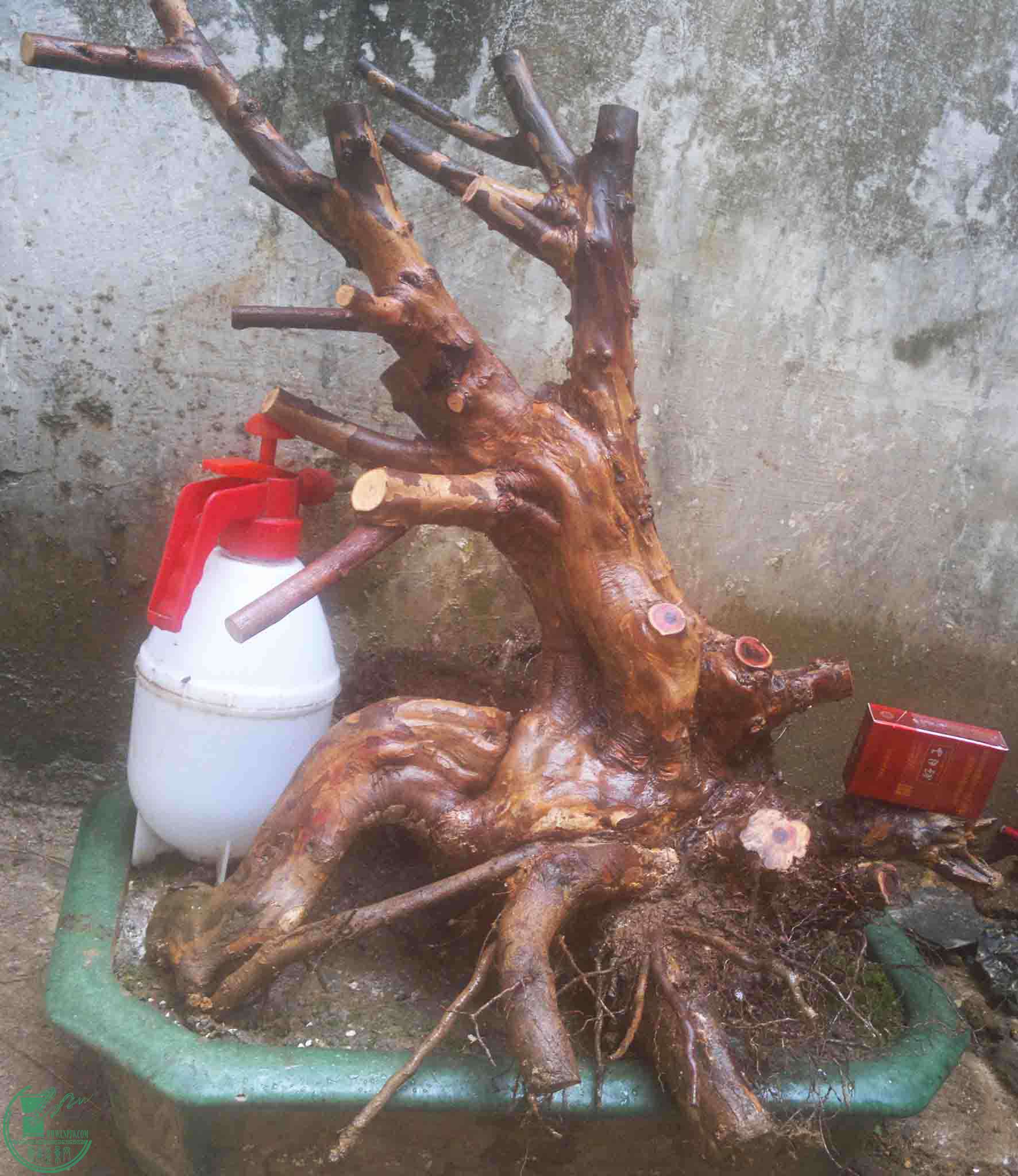 2016121316345.jpg