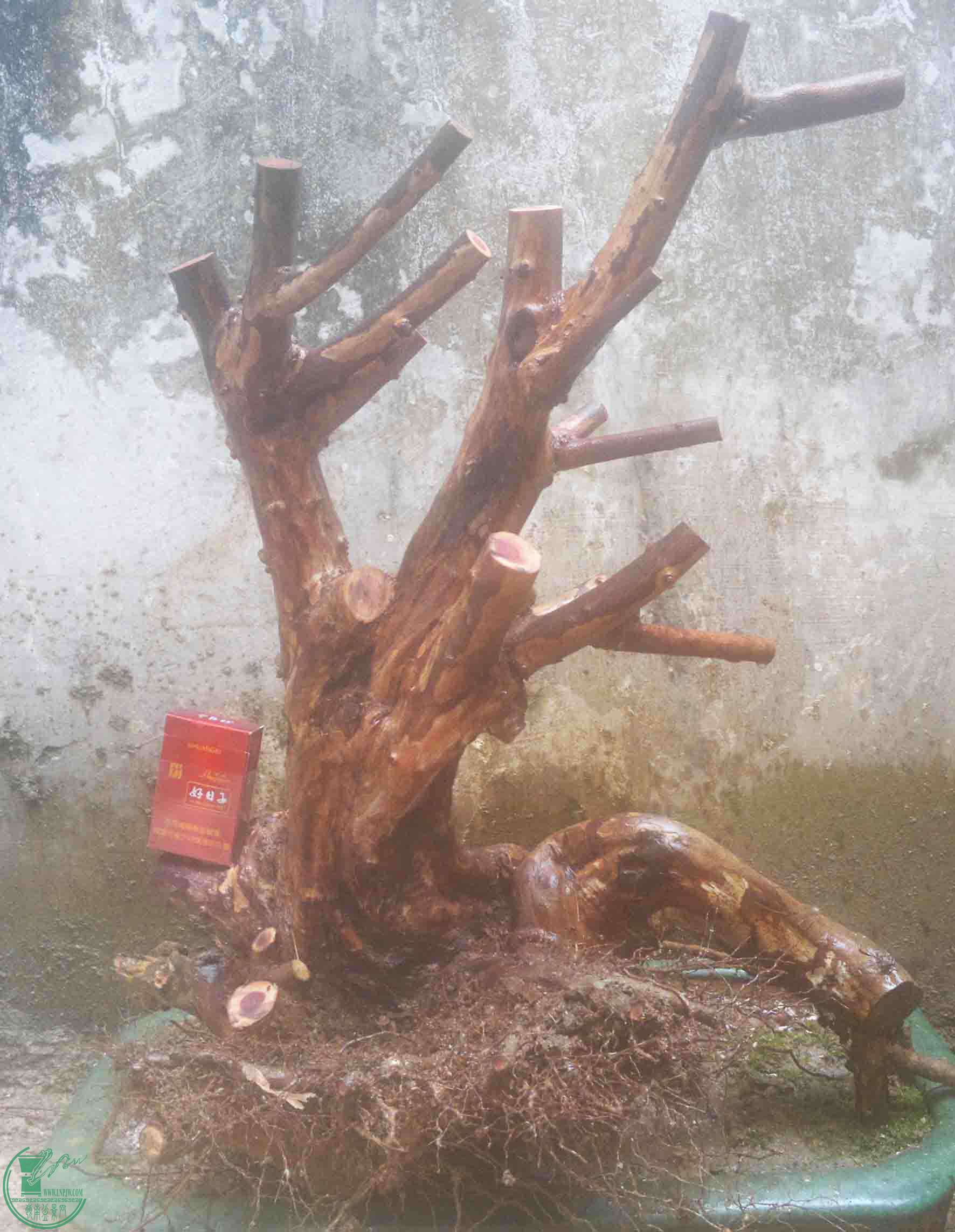 2016121316354.jpg