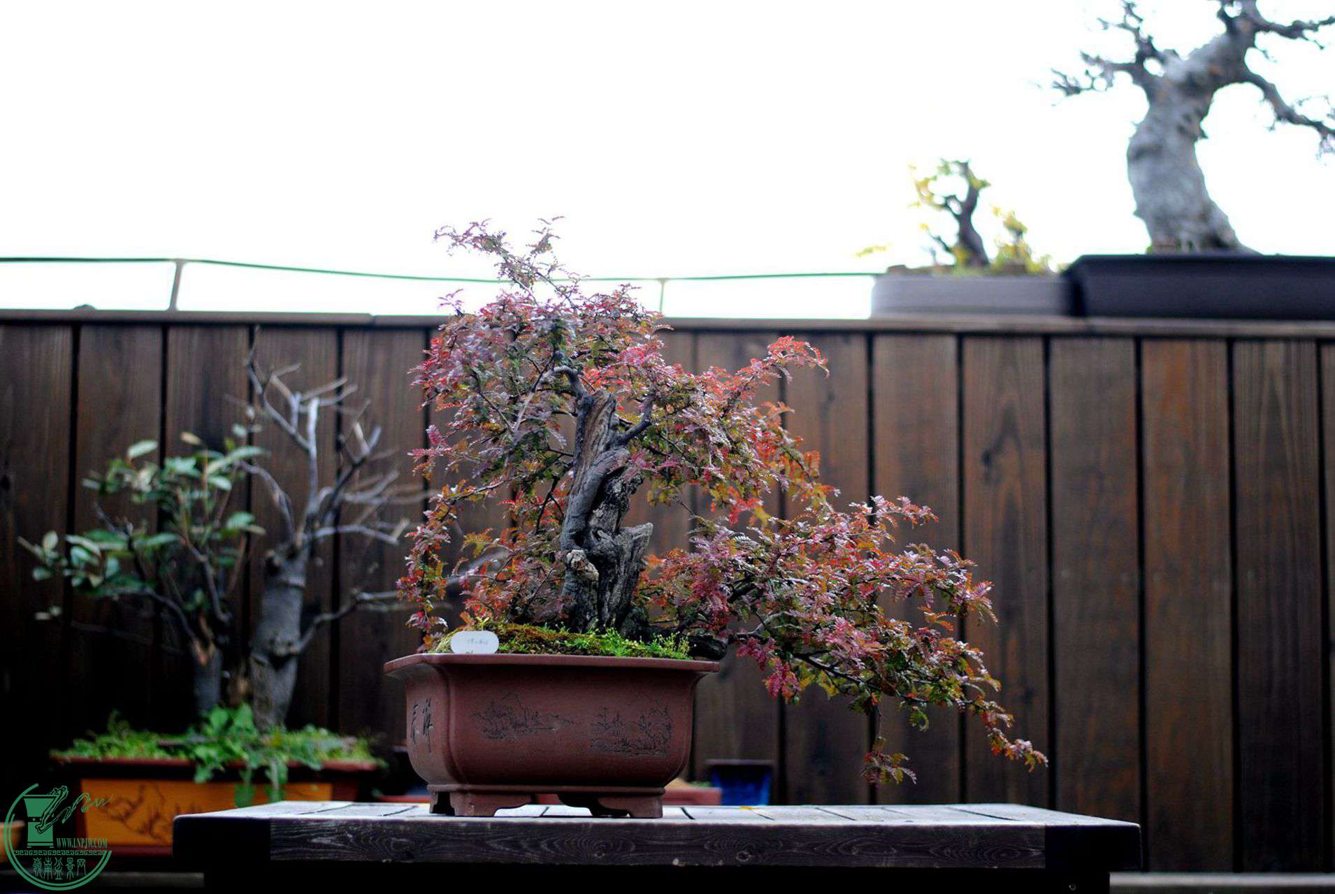 DSC_0866.JPG