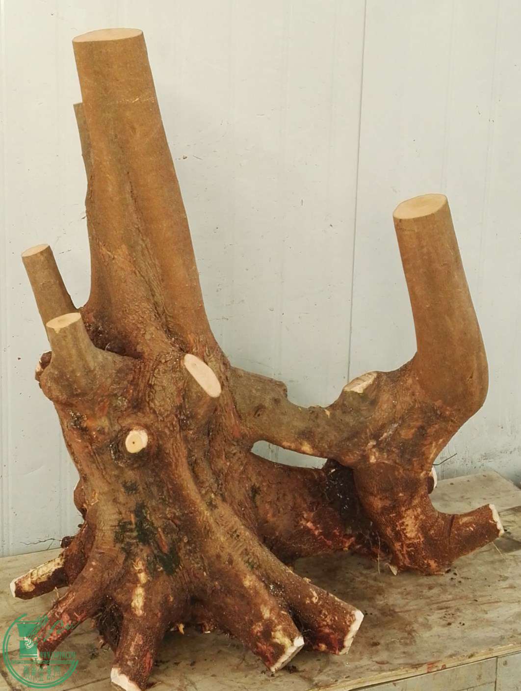 СҶ��Э�̼�