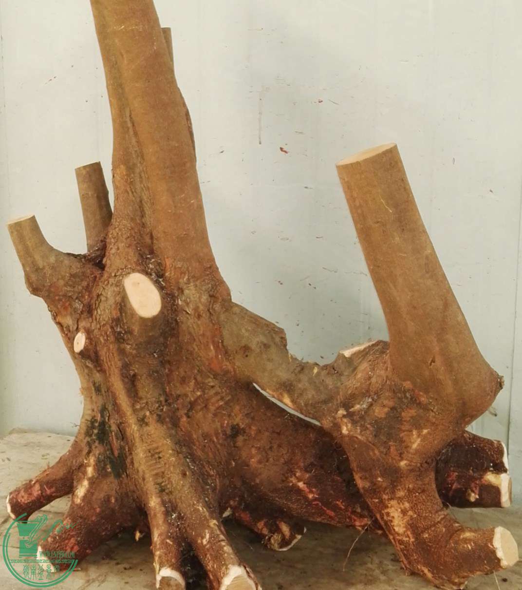 СҶ��Э�̼�