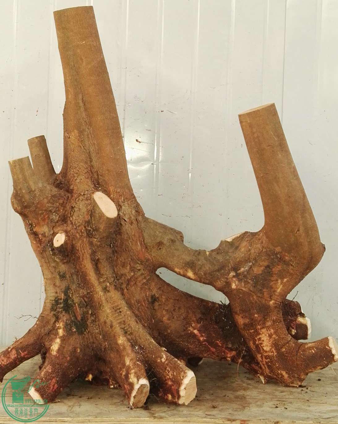 СҶ��Э�̼�