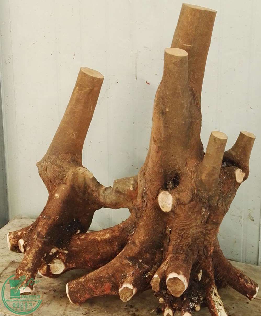 СҶ��Э�̼�