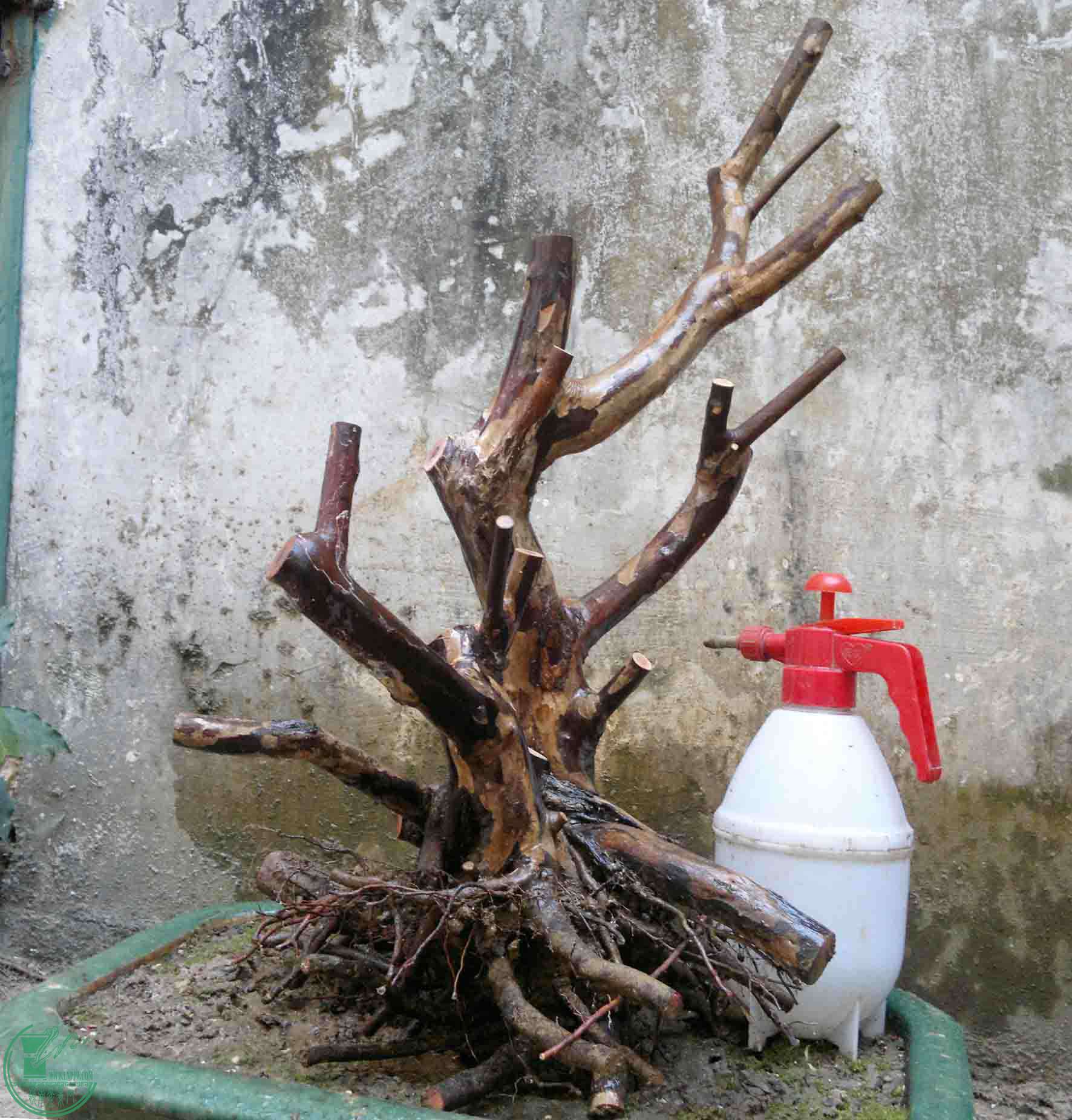 2016121616456.jpg