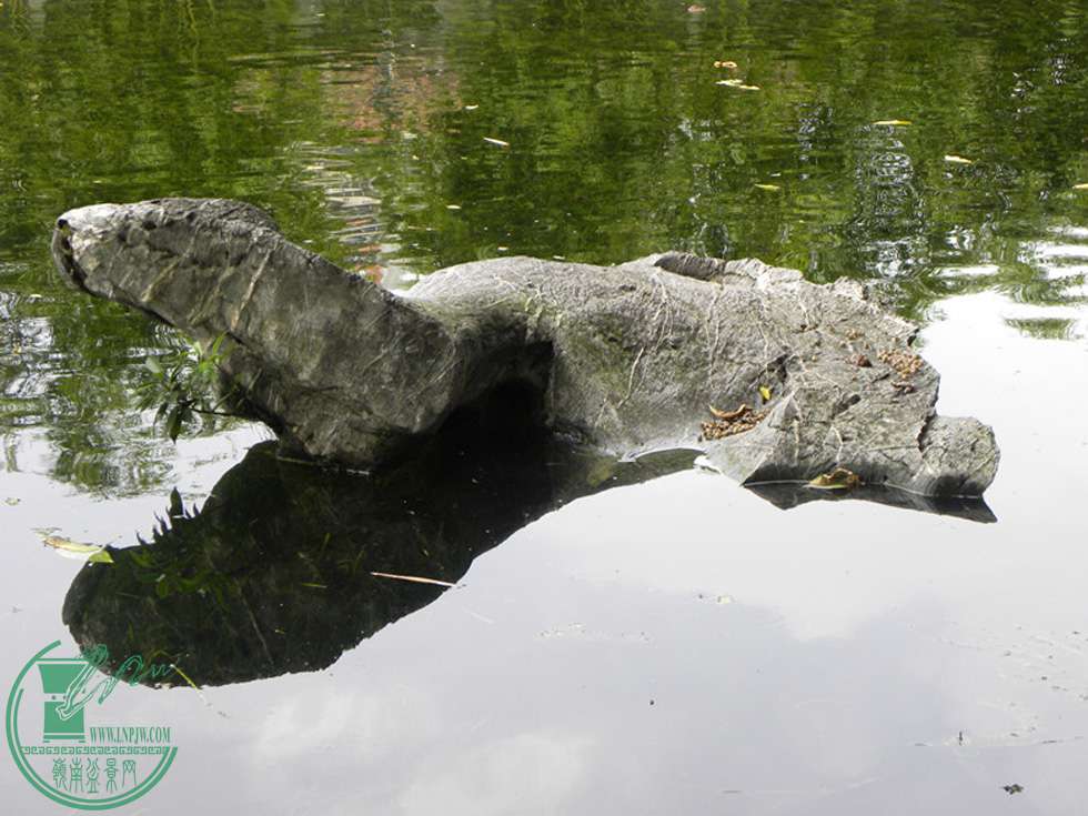 DSCN8769.jpg