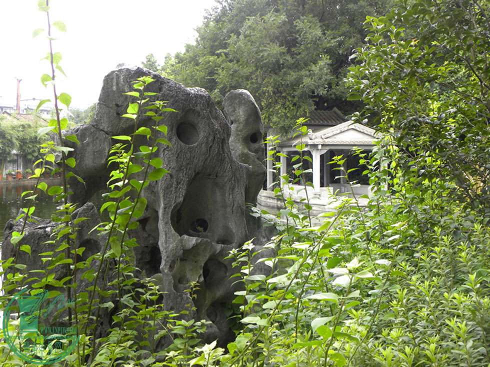 DSCN8775.jpg