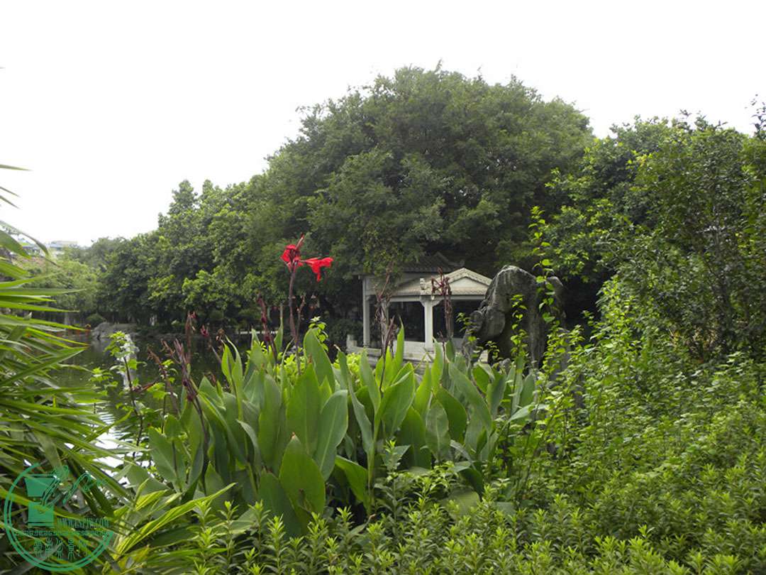 DSCN8776.jpg