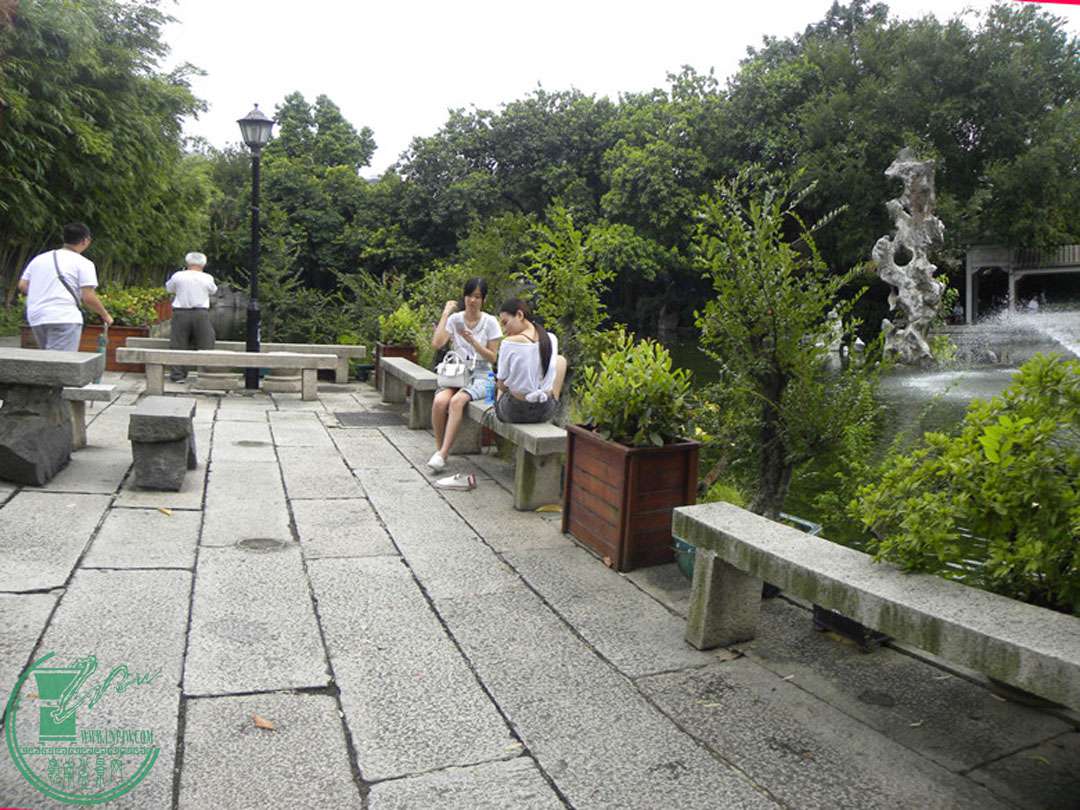 DSCN8803v.jpg