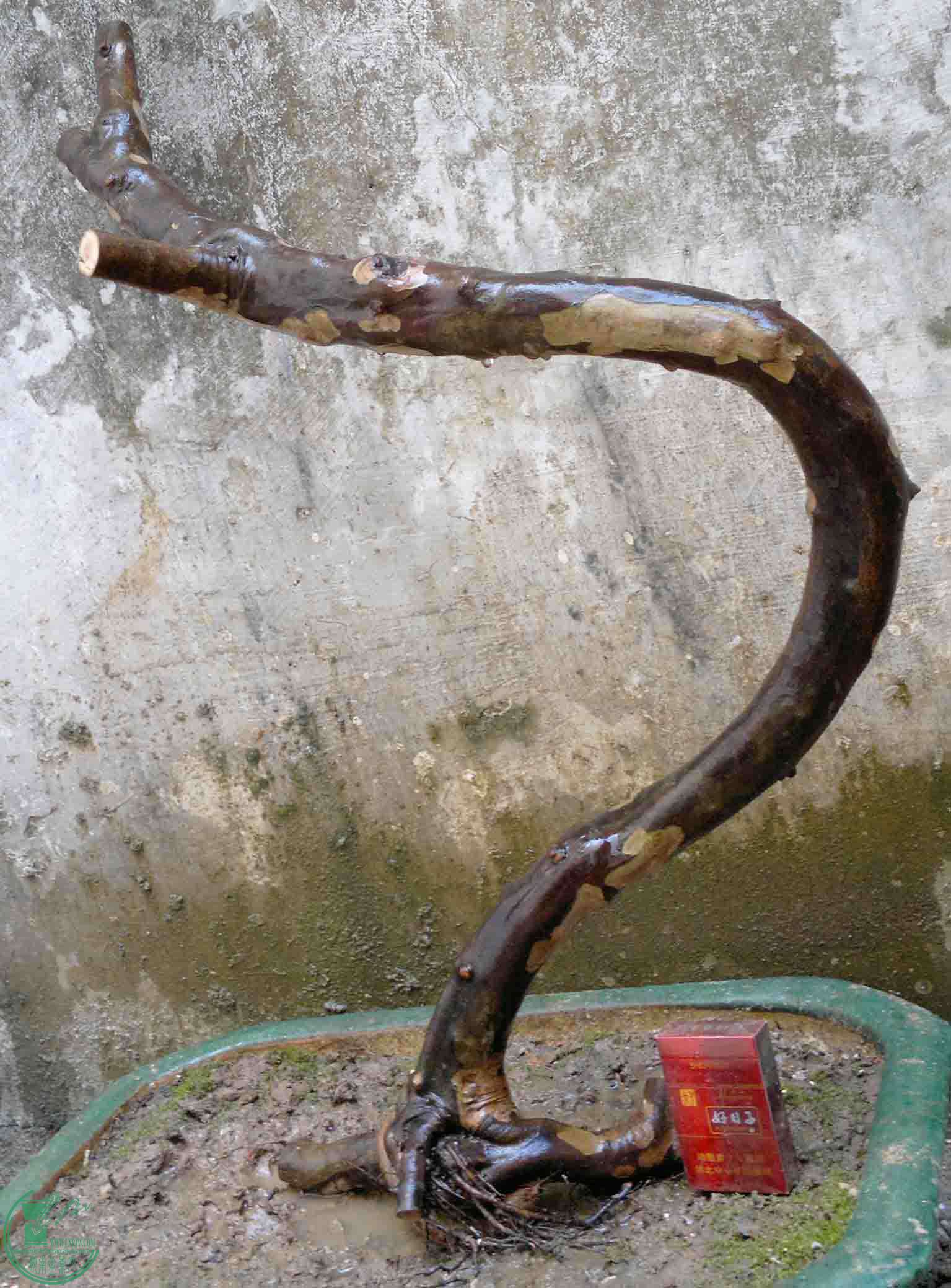 2016121716636.jpg