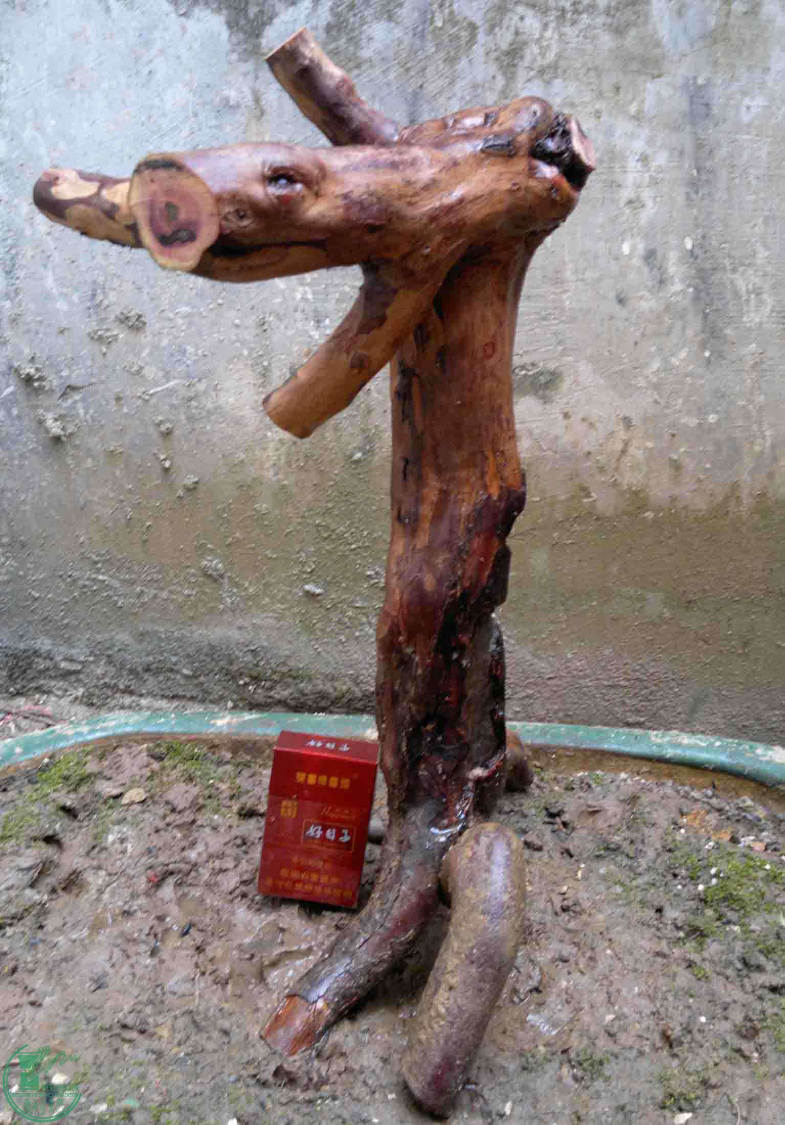 2016121916785.jpg