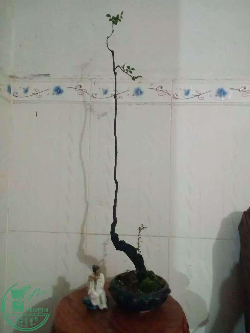 1482211543520.jpeg