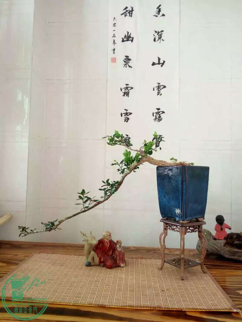 ��������200�������