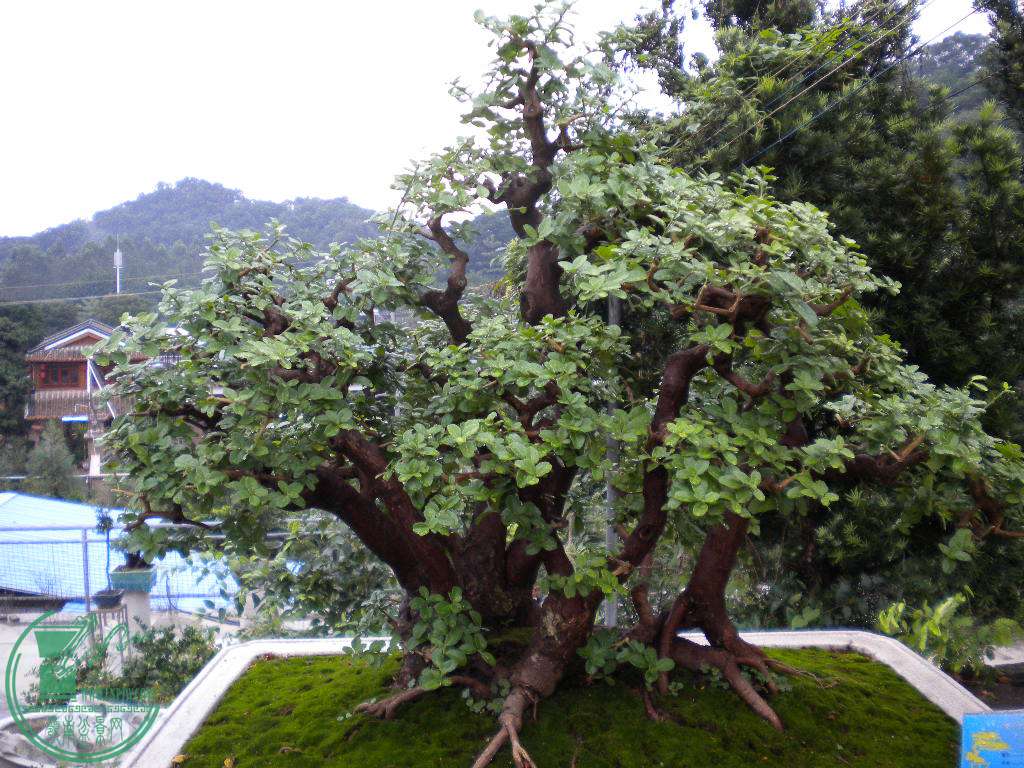 DSCN8824.JPG