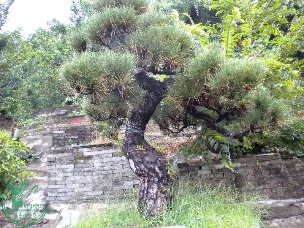 DSCN8830.JPG