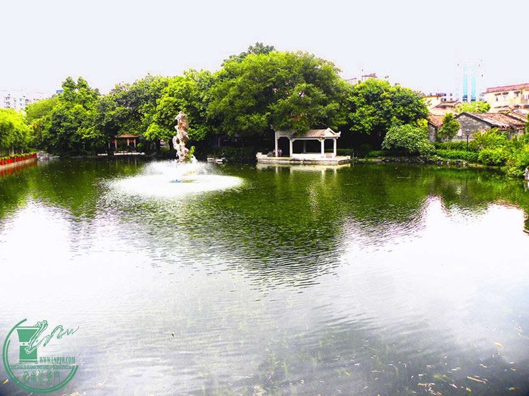 DSCN879.jpg