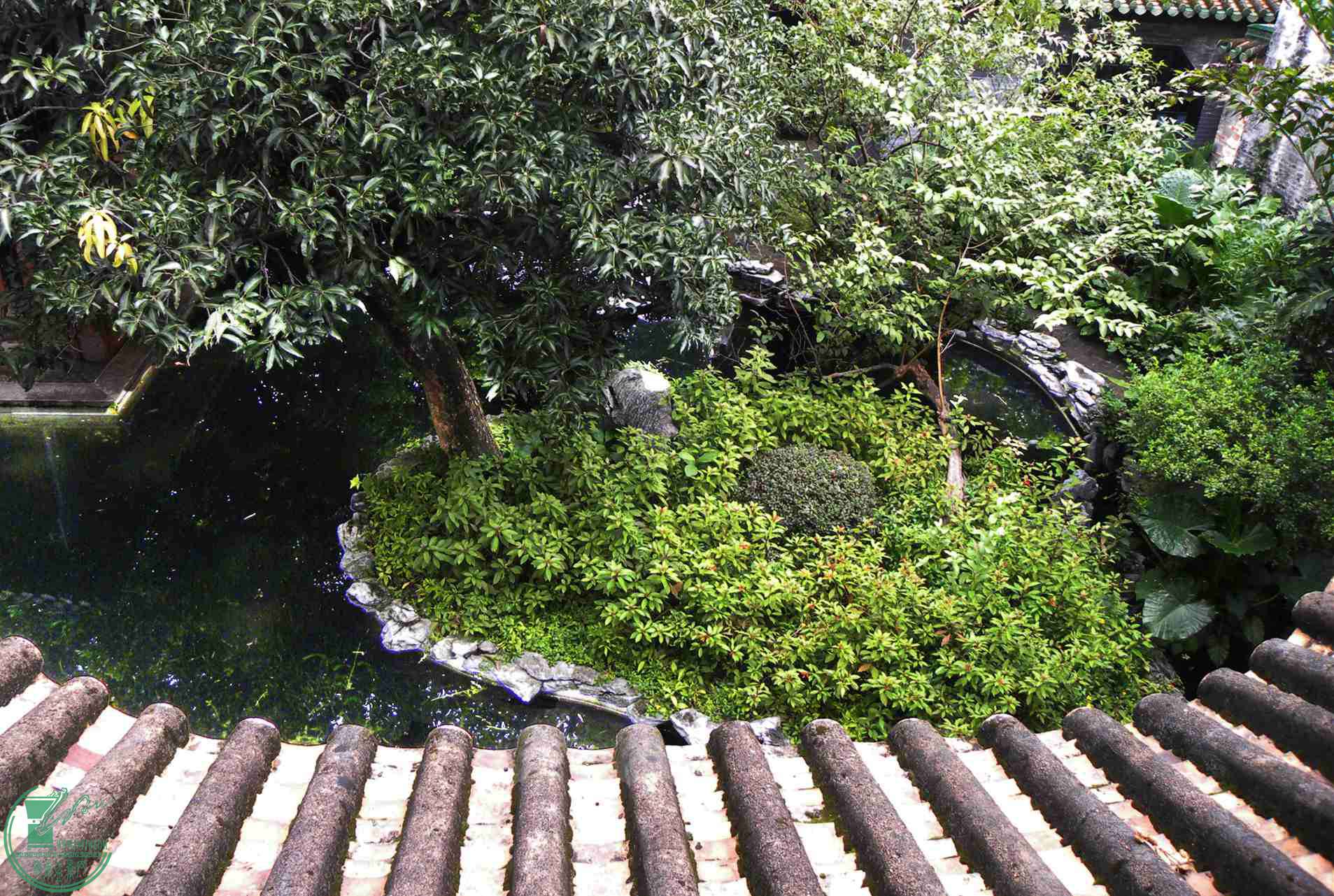 DSCN8747ij.jpg