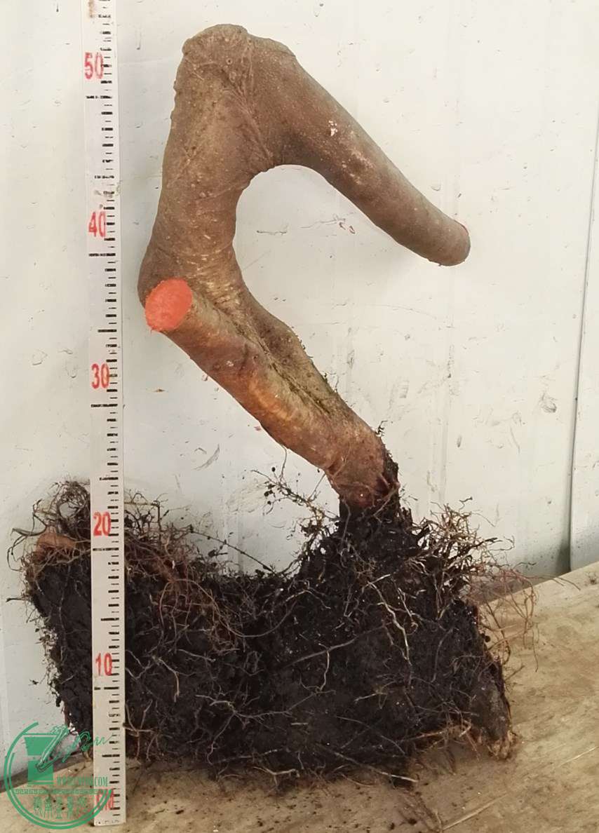 2������280