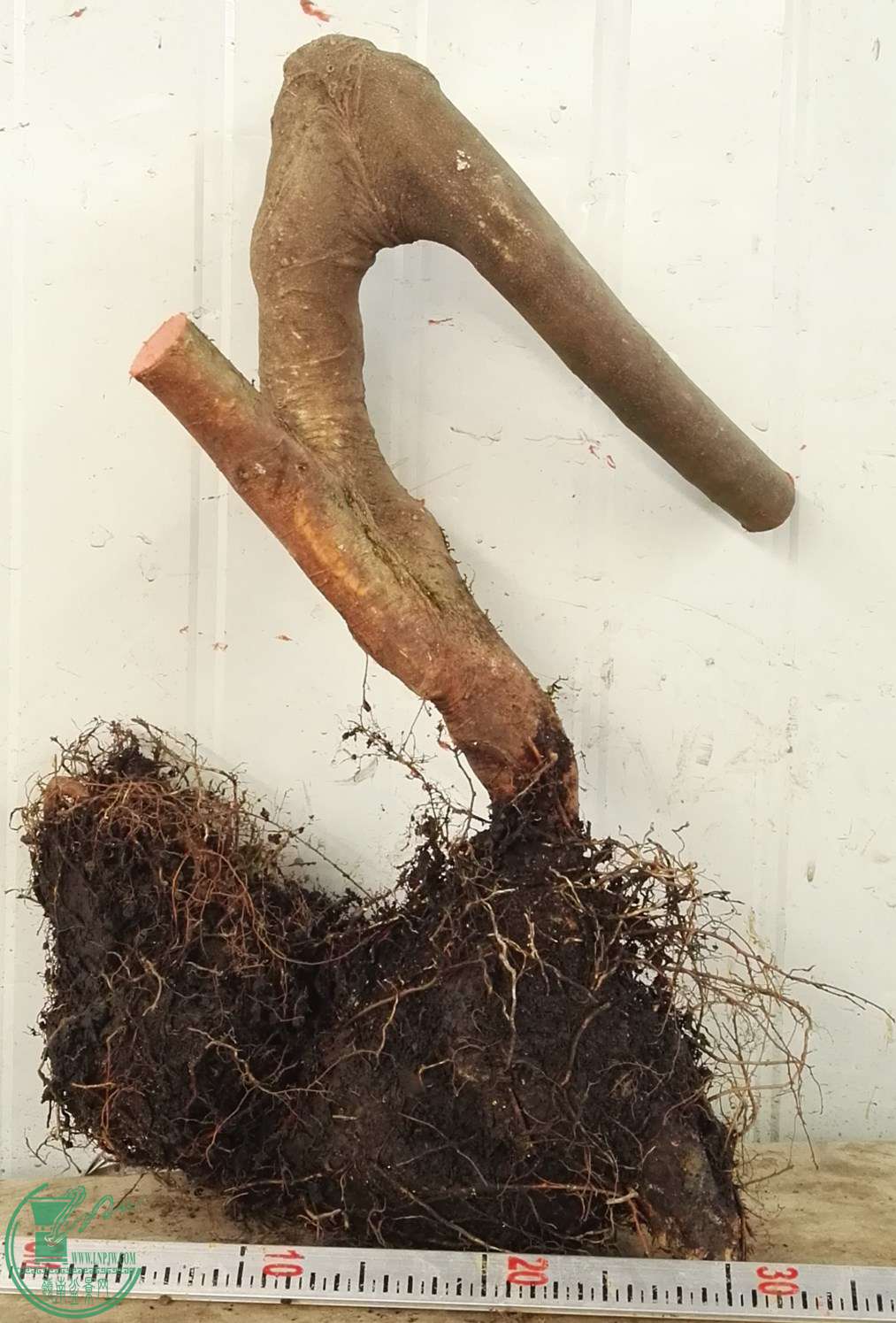 2������280