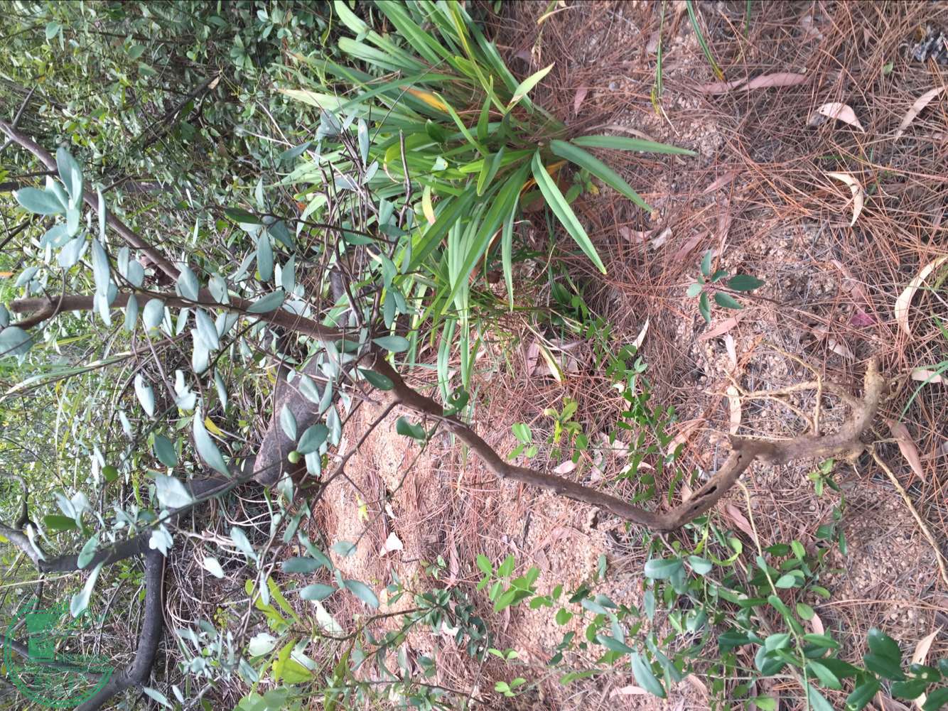 QQͼƬ20161229190932.jpg