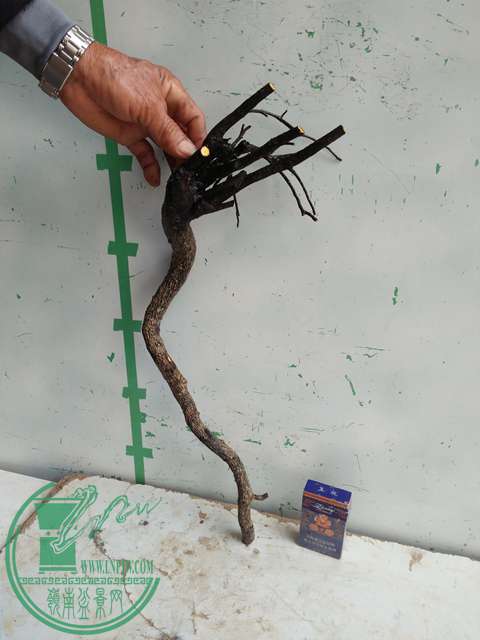 �½��ļ��� (3)IMG20161230123041.jpg