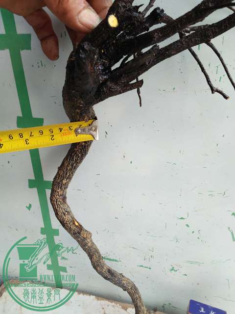 �½��ļ��� (3)IMG20161230123050.jpg